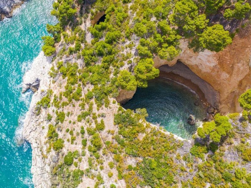 A Casa Da Carla Lägenhet Vieste Exteriör bild